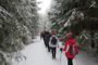 Zimní výstup na Vysokou Roudnou - 2. ročník - 16.2.2019